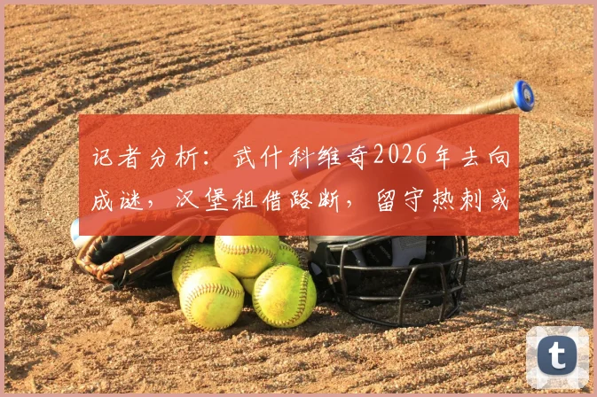 记者分析:武什科维奇2026年去向成谜,汉堡租借路断,留守热刺或投豪门