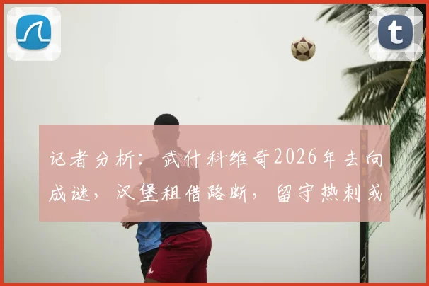 记者分析：武什科维奇2026年去向成谜，汉堡租借路断，留守热刺或投豪门