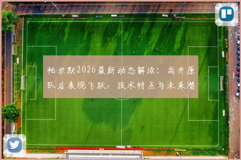 帕尔默2026最新动态解读：离开原队后表现飞跃，技术特点与未来潜力深度分析，回应“需要机会”言论