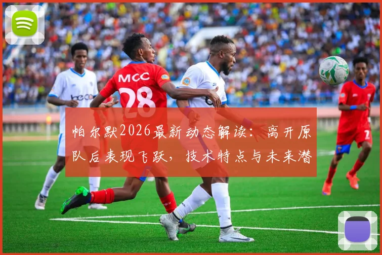 帕尔默2026最新动态解读:离开原队后表现飞跃,技术特点与未来潜力深度分析,回应“需要机会”言论