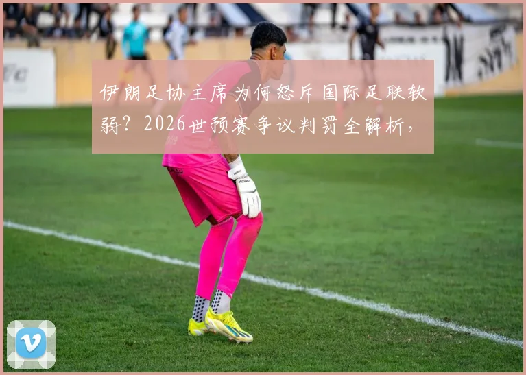 伊朗足协主席为何怒斥国际足联软弱?2026世预赛争议判罚全解析,背后原因值得深思